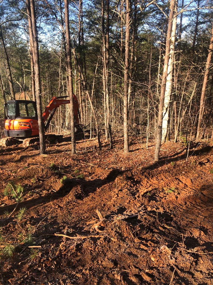Mulching & Brush-Hogging in Ellijay, GA, Teague Outdoor Contracting